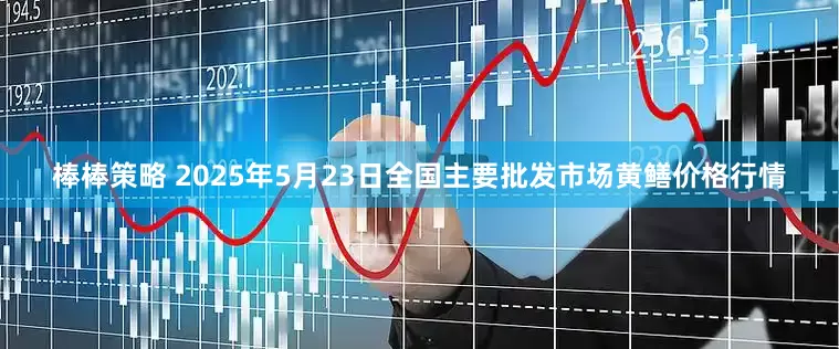 棒棒策略 2025年5月23日全国主要批发市场黄鳝价格行情