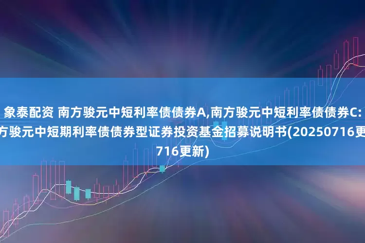 象泰配资 南方骏元中短利率债债券A,南方骏元中短利率债债券C: 南方骏元中短期利率债债券型证券投资基金招募说明书(20250716更新)
