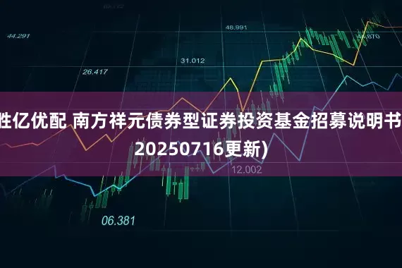胜亿优配 南方祥元债券型证券投资基金招募说明书(20250716更新)