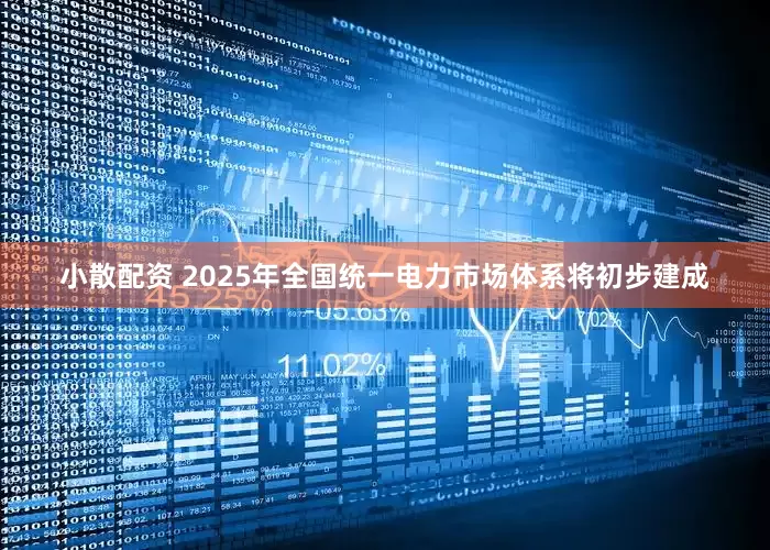 小散配资 2025年全国统一电力市场体系将初步建成