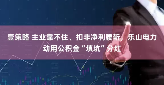 壹策略 主业靠不住、扣非净利腰斩，乐山电力动用公积金“填坑”分红