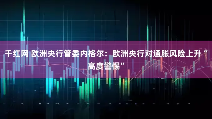 千红网 欧洲央行管委内格尔：欧洲央行对通胀风险上升“高度警惕”